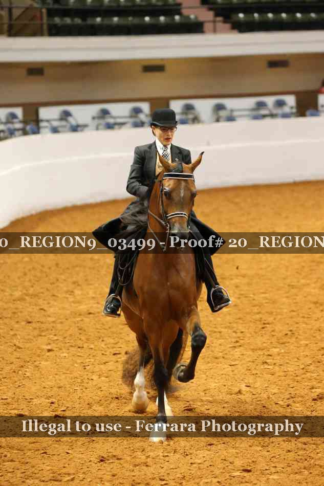 Proof 20_REGION9_03499