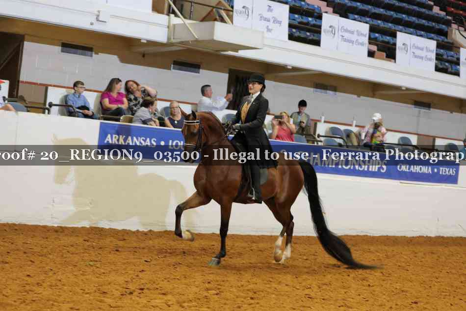 Proof 20_REGION9_03500