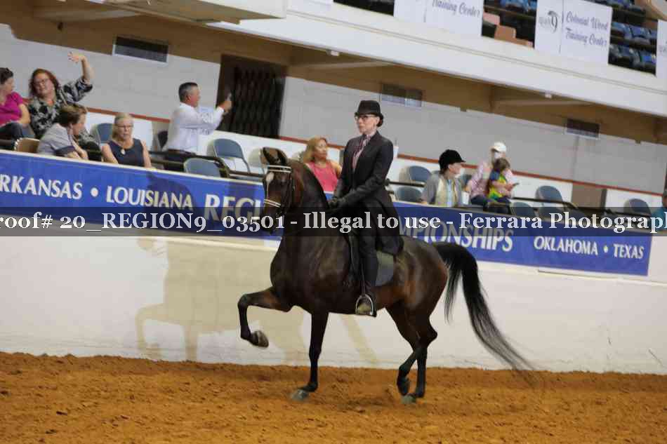 Proof 20_REGION9_03501