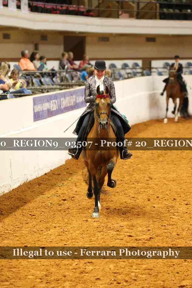 Proof 20_REGION9_03507