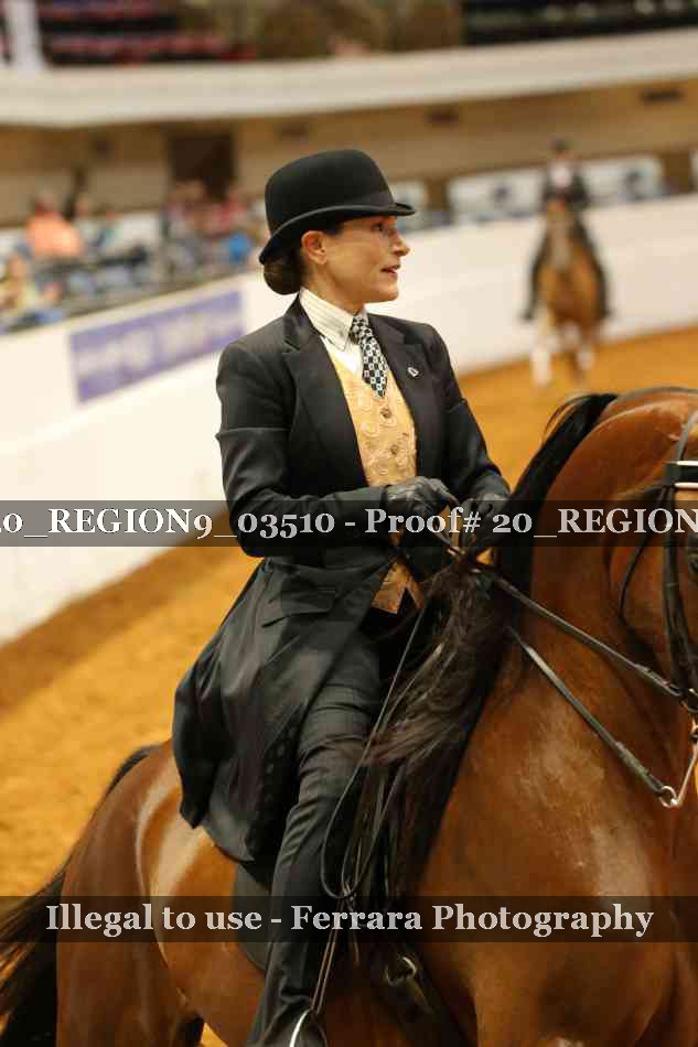 Proof 20_REGION9_03510