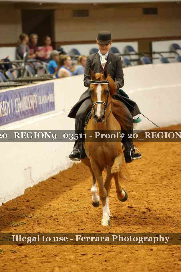 Proof 20_REGION9_03511