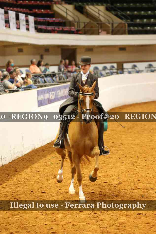 Proof 20_REGION9_03512