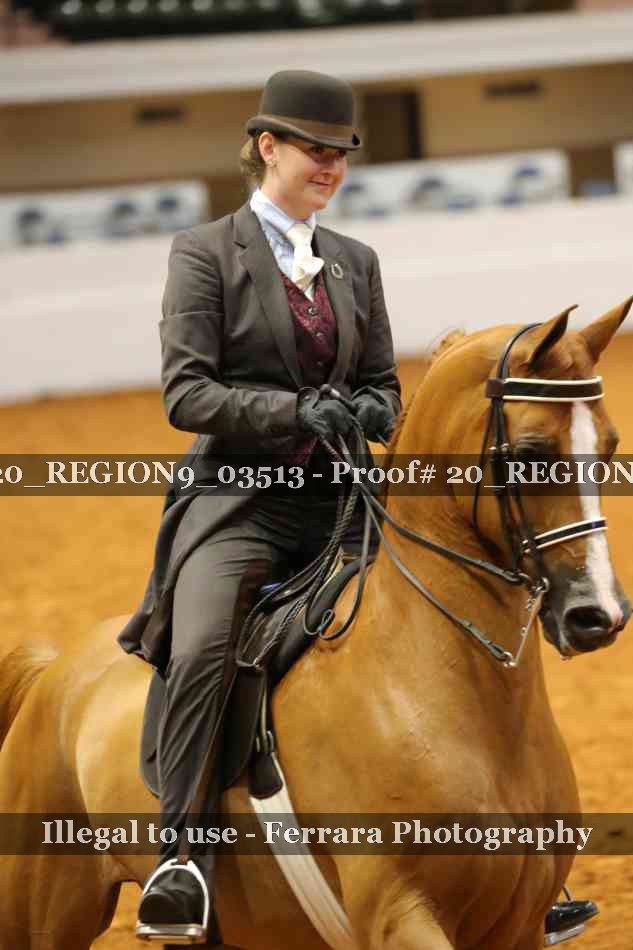 Proof 20_REGION9_03513