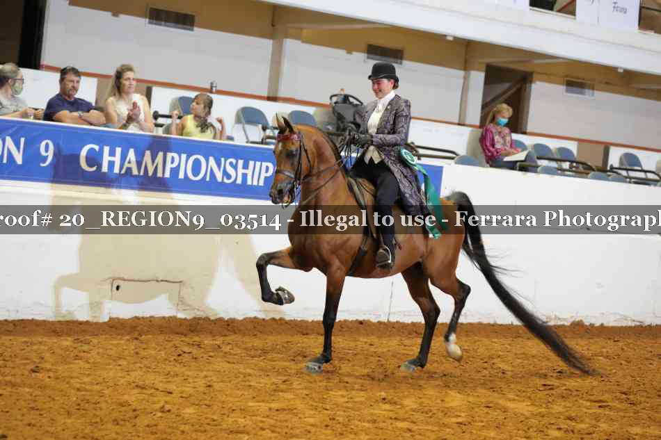 Proof 20_REGION9_03514