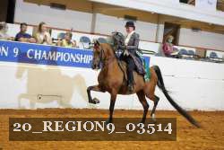 20_REGION9_03514 proof