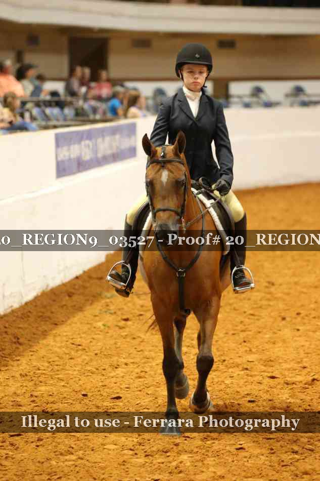 Proof 20_REGION9_03527