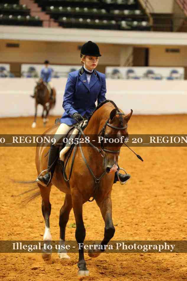 Proof 20_REGION9_03528