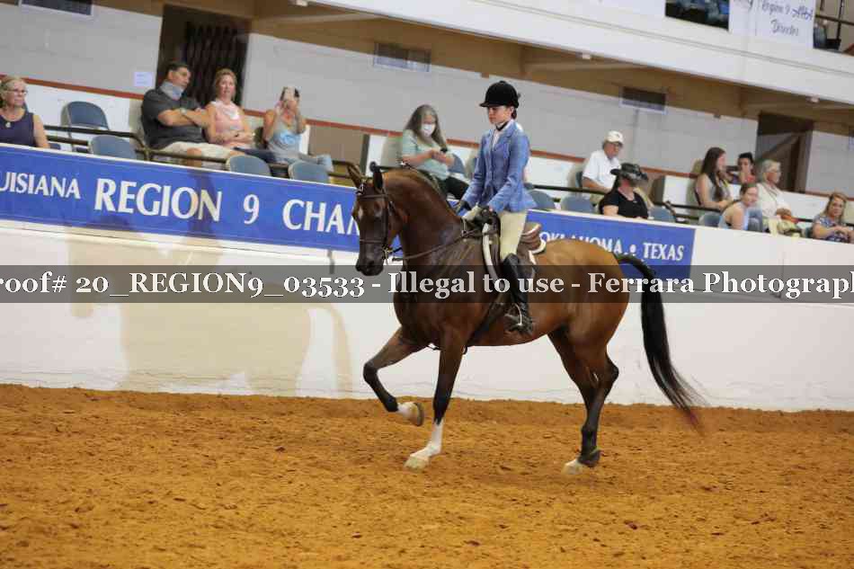 Proof 20_REGION9_03533