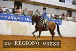 20_REGION9_03533 proof