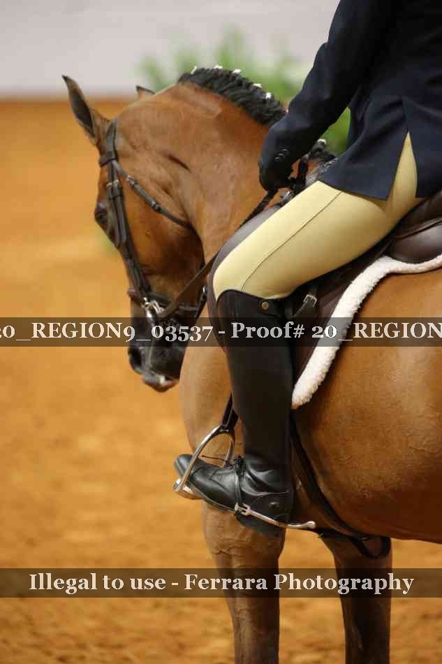 Proof 20_REGION9_03537