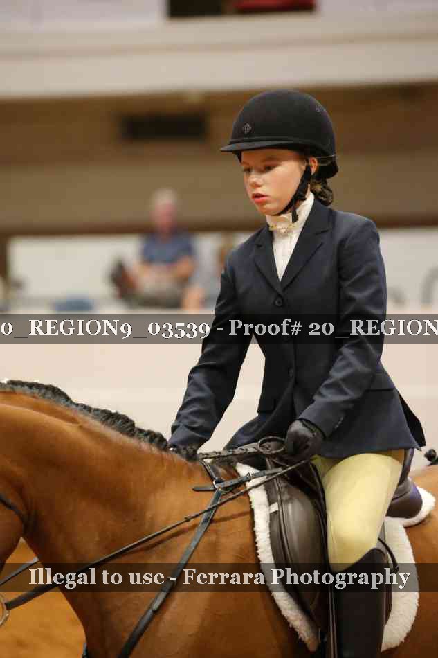 Proof 20_REGION9_03539