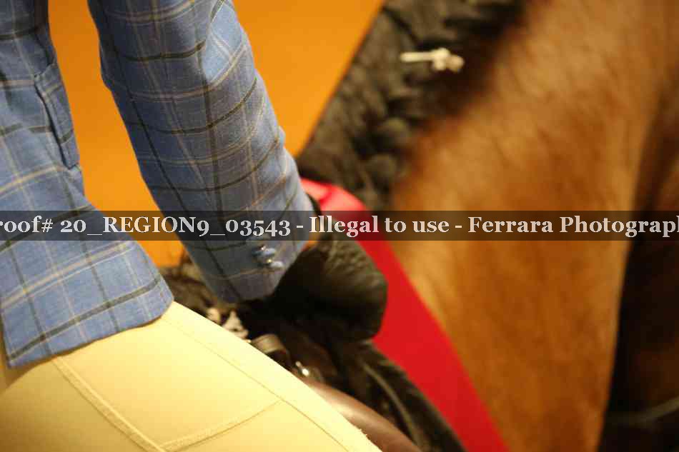 Proof 20_REGION9_03543