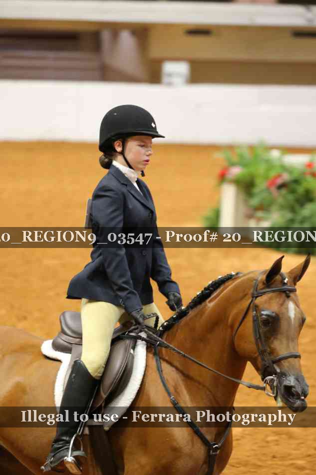 Proof 20_REGION9_03547