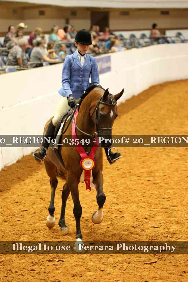 Proof 20_REGION9_03549