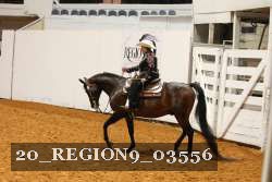 20_REGION9_03556 proof