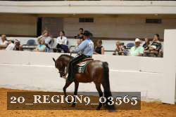 20_REGION9_03565 proof