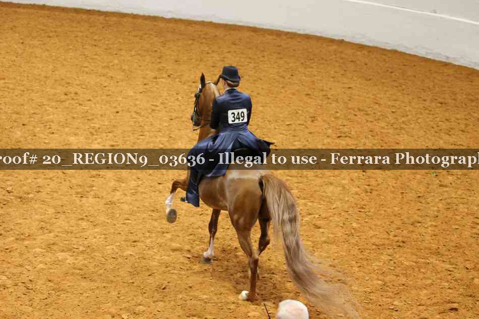 Proof 20_REGION9_03636