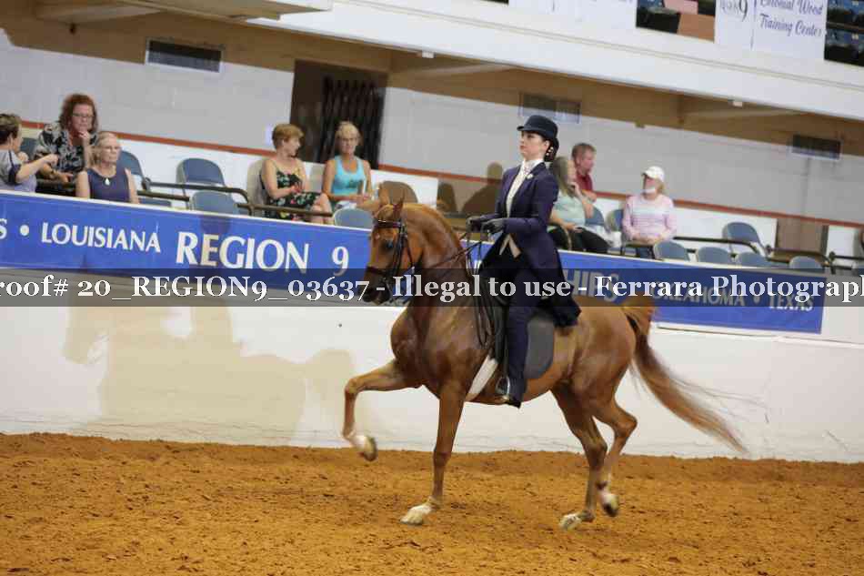 Proof 20_REGION9_03637