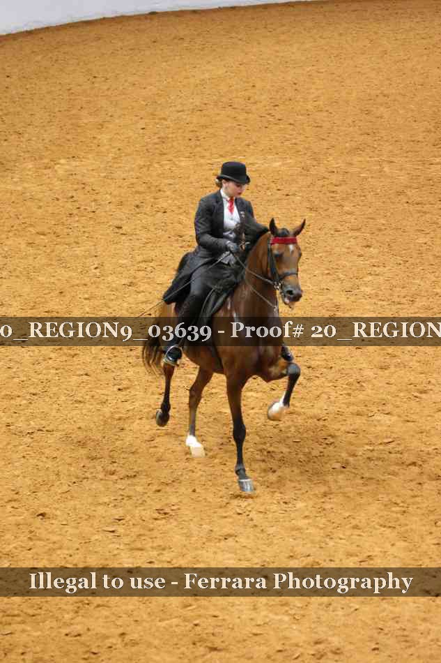 Proof 20_REGION9_03639