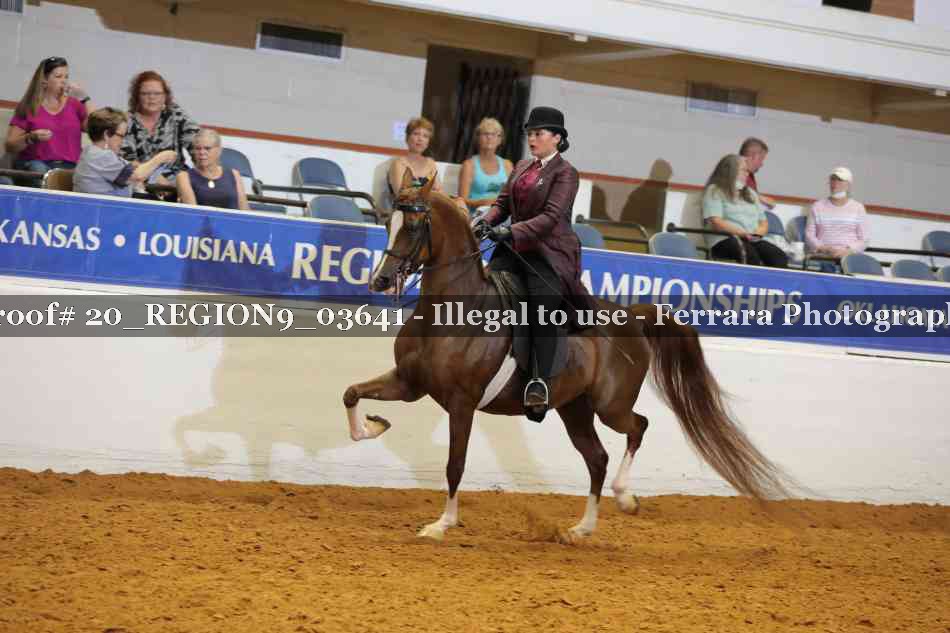 Proof 20_REGION9_03641