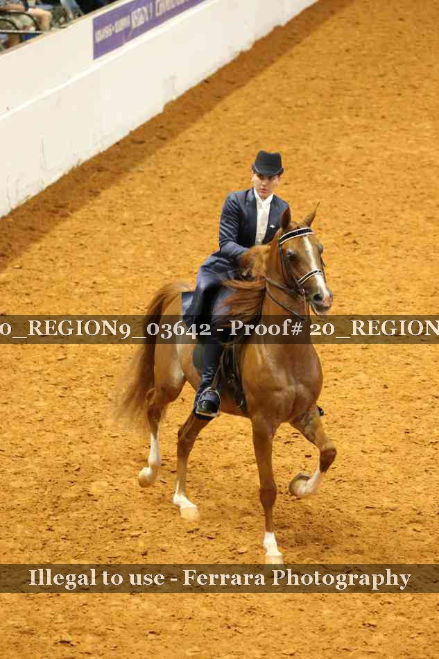 Proof 20_REGION9_03642
