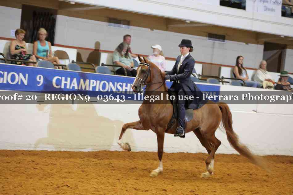 Proof 20_REGION9_03643