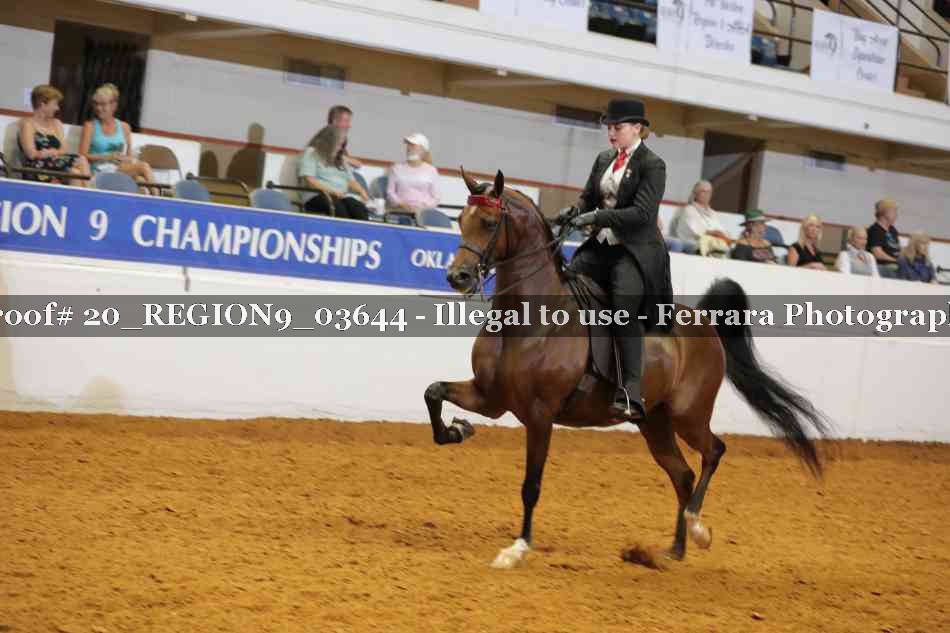 Proof 20_REGION9_03644