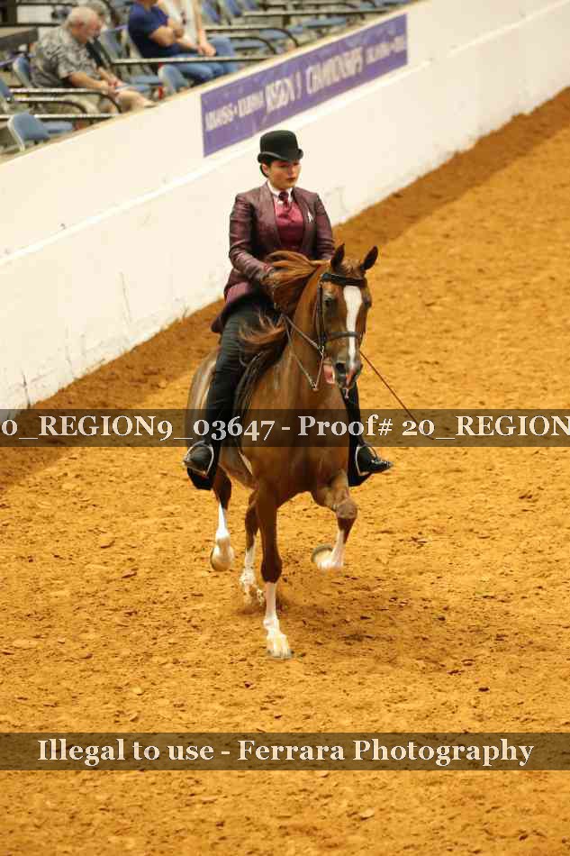 Proof 20_REGION9_03647