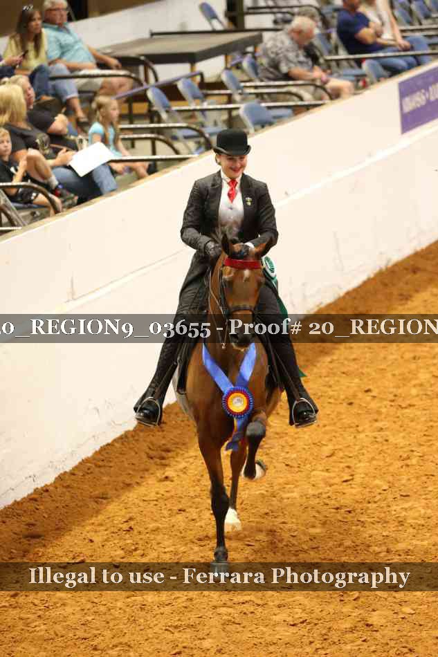 Proof 20_REGION9_03655