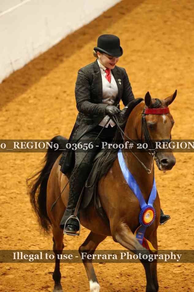 Proof 20_REGION9_03656