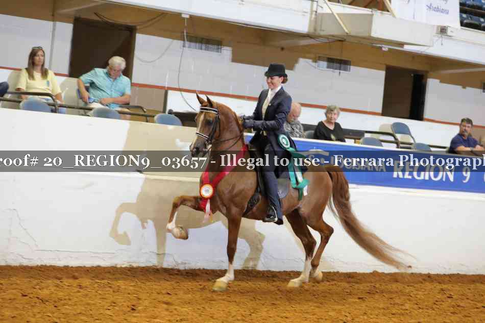 Proof 20_REGION9_03657