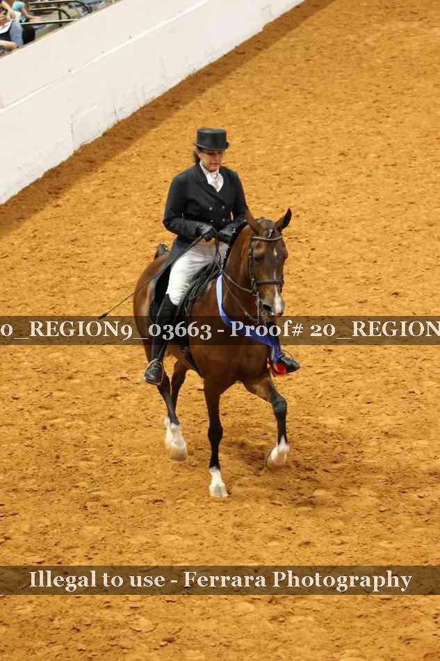Proof 20_REGION9_03663