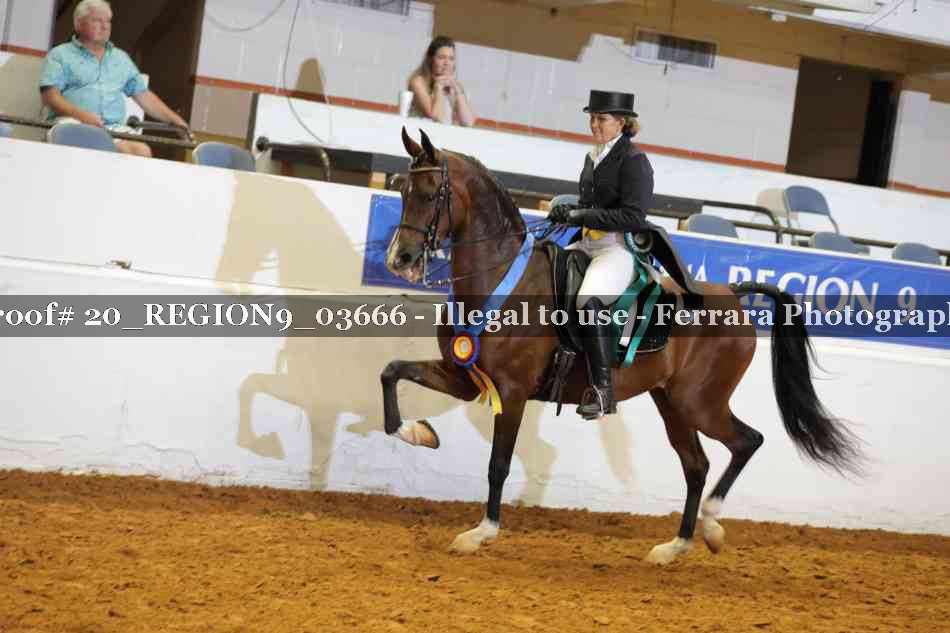 Proof 20_REGION9_03666