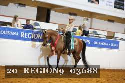 20_REGION9_03688 proof