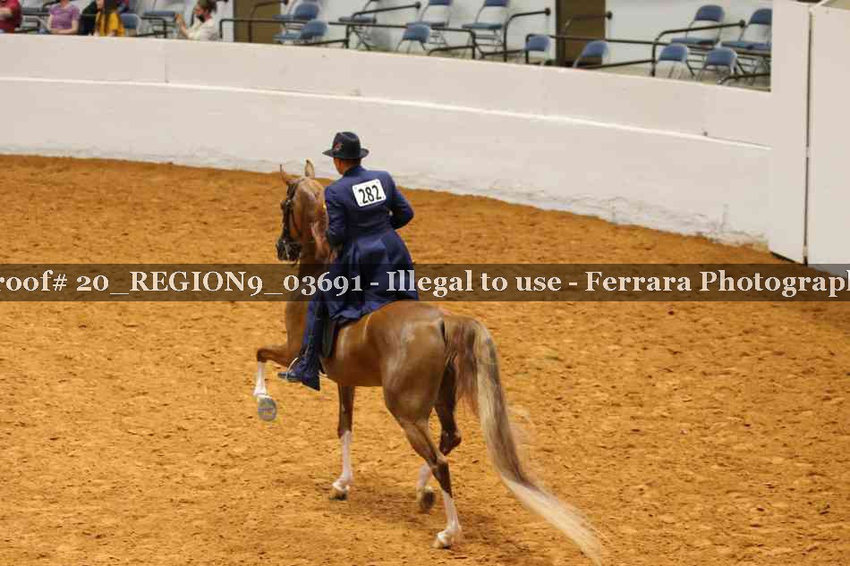 Proof 20_REGION9_03691
