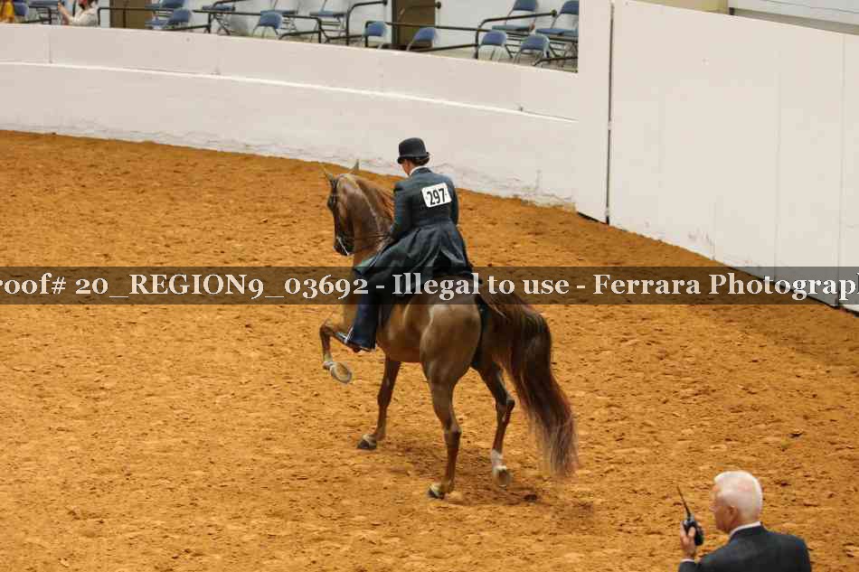 Proof 20_REGION9_03692