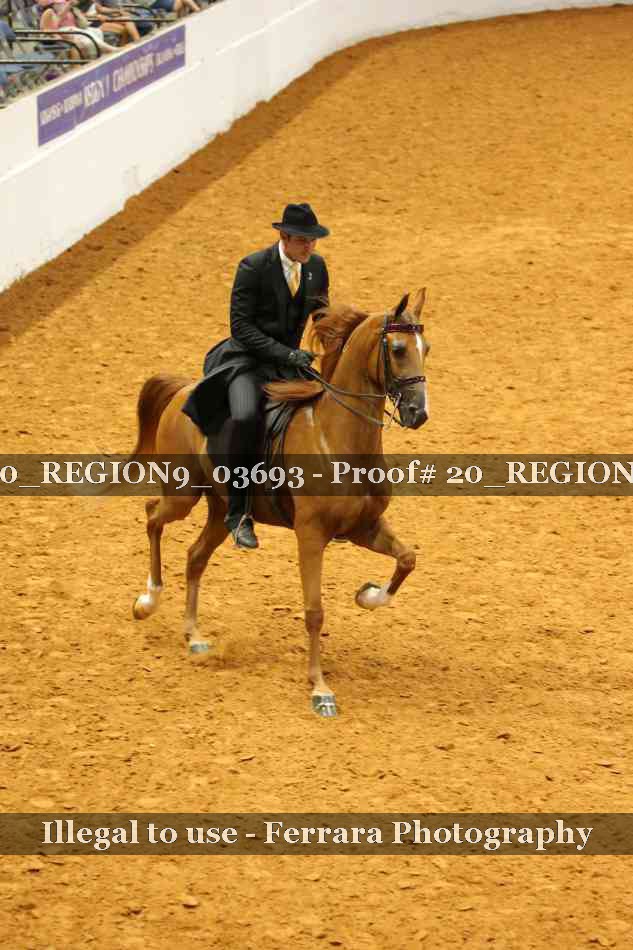 Proof 20_REGION9_03693
