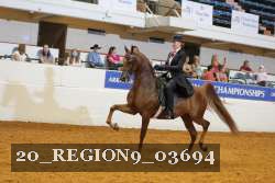 20_REGION9_03694 proof