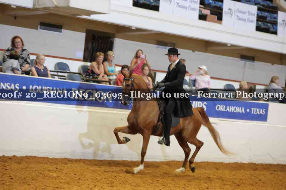 Proof 20_REGION9_03695