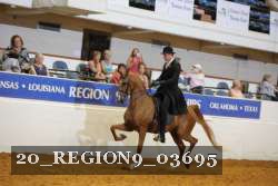 20_REGION9_03695 proof