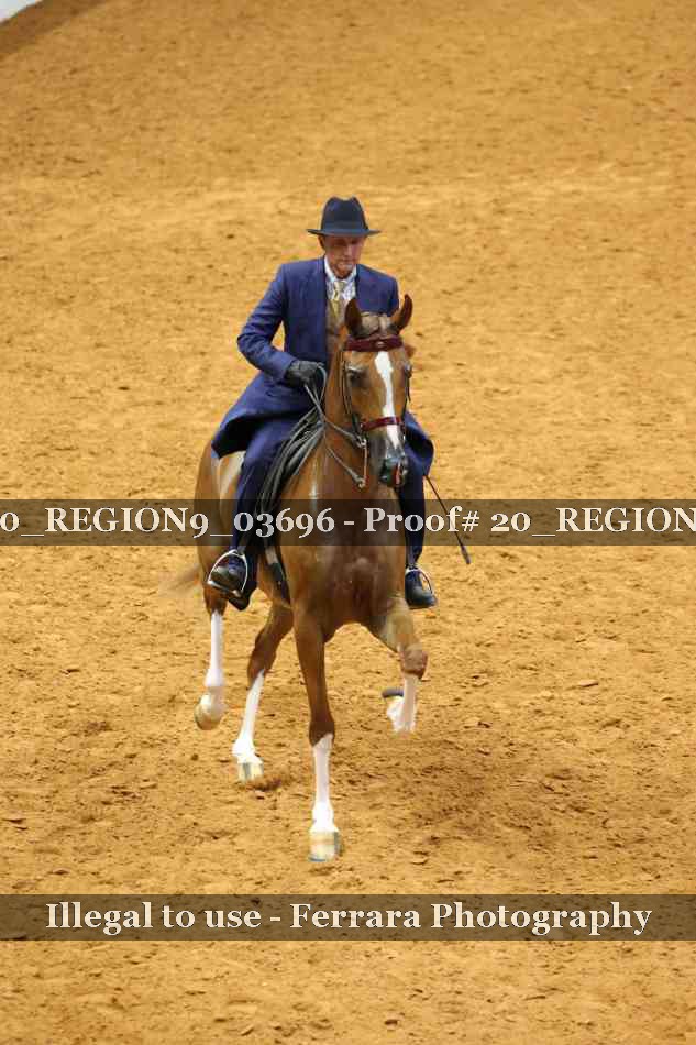 Proof 20_REGION9_03696