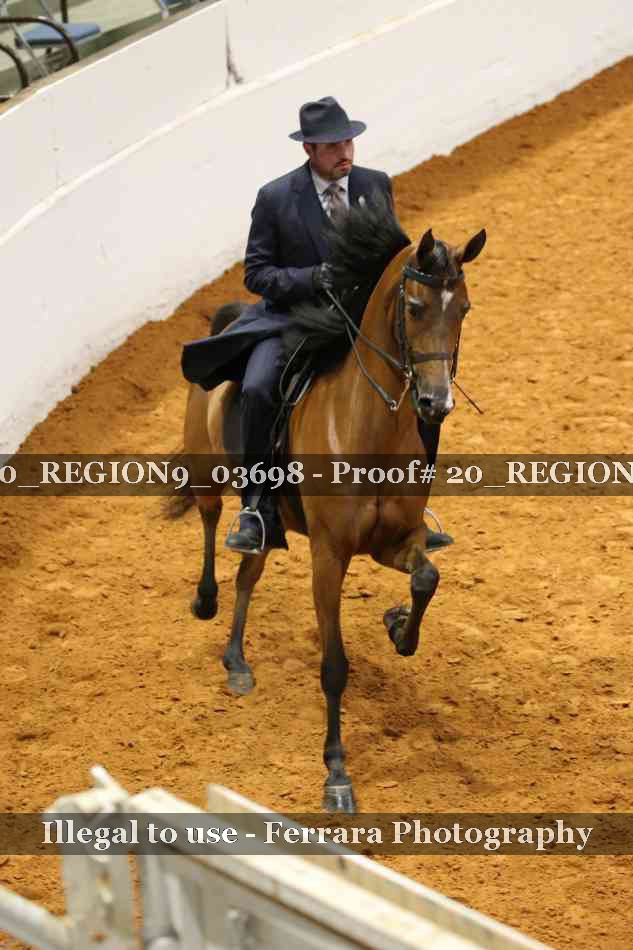 Proof 20_REGION9_03698