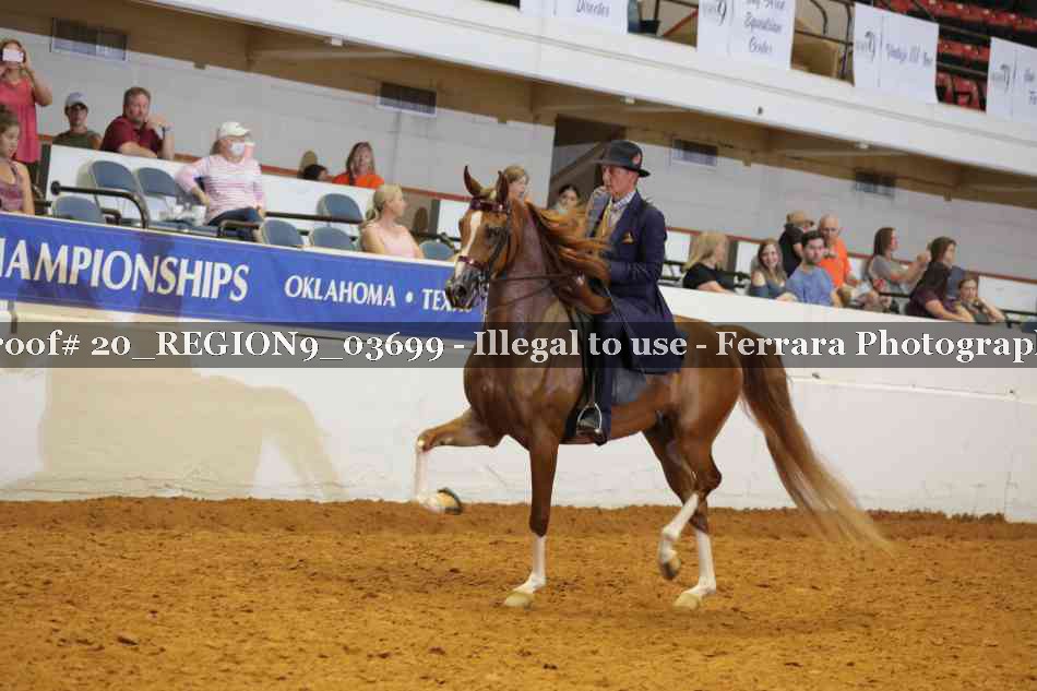 Proof 20_REGION9_03699