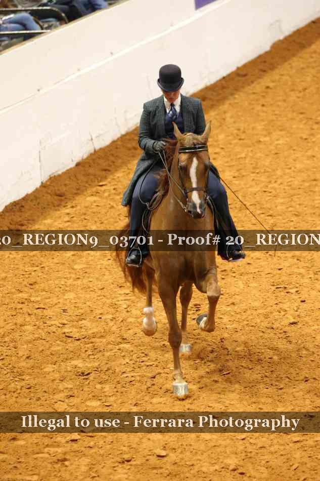 Proof 20_REGION9_03701