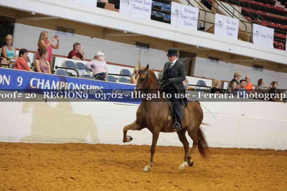 Proof 20_REGION9_03702
