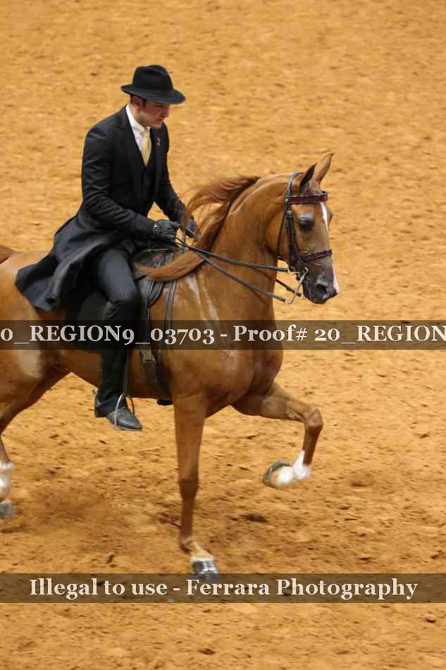Proof 20_REGION9_03703