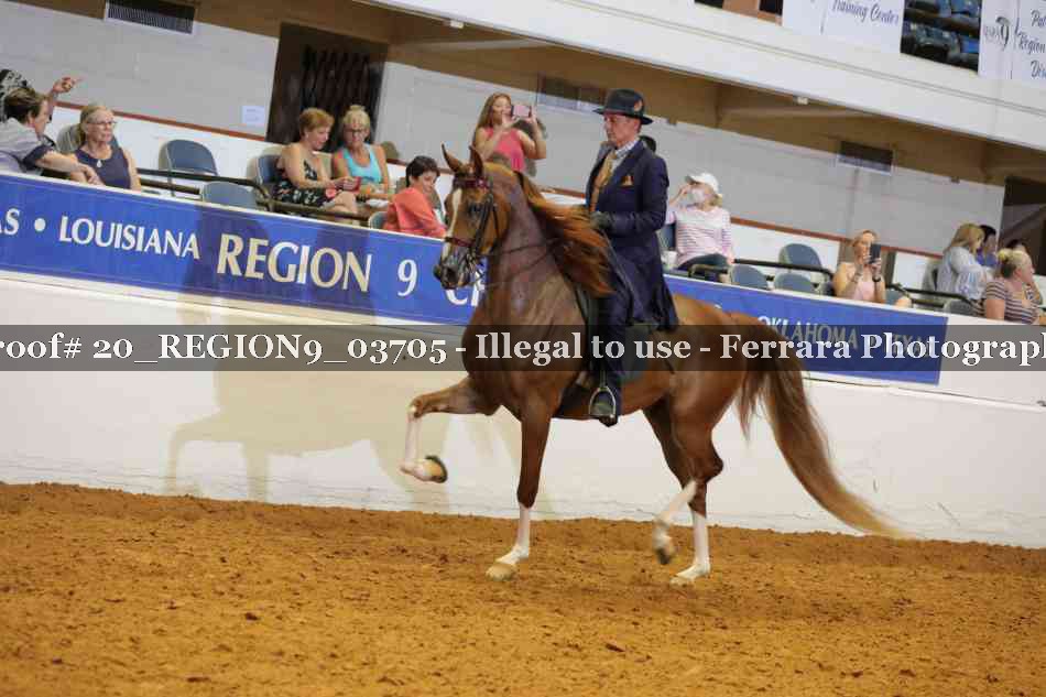 Proof 20_REGION9_03705