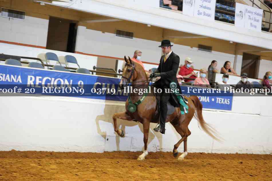 Proof 20_REGION9_03719