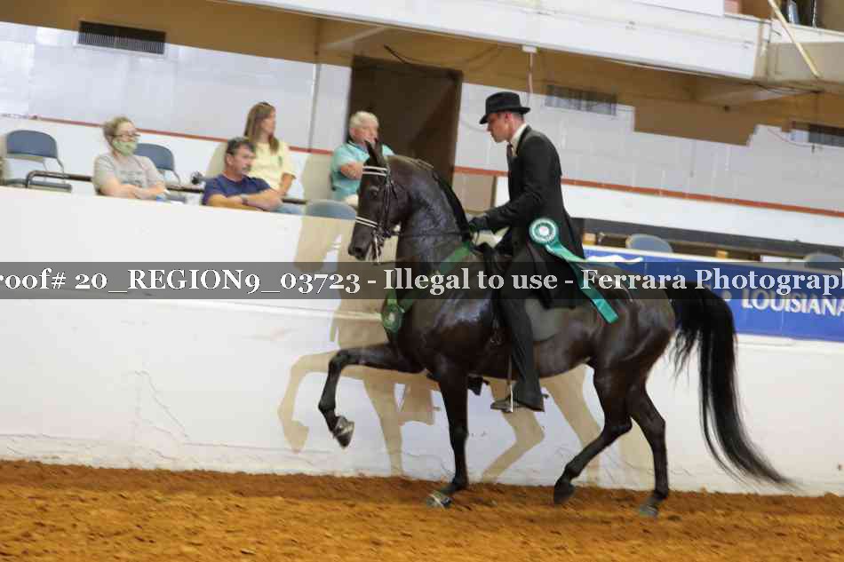 Proof 20_REGION9_03723